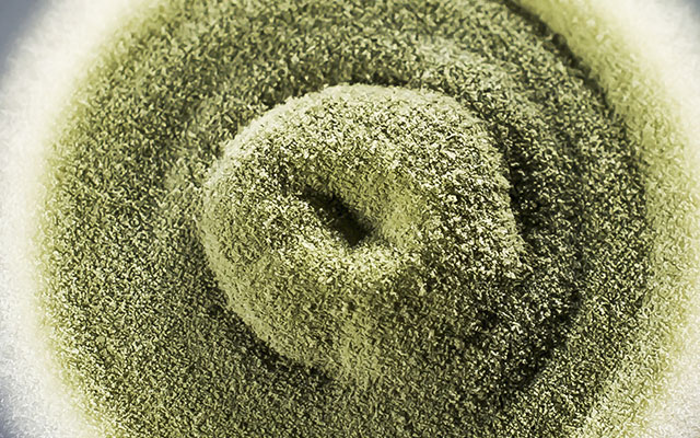 Alternaria