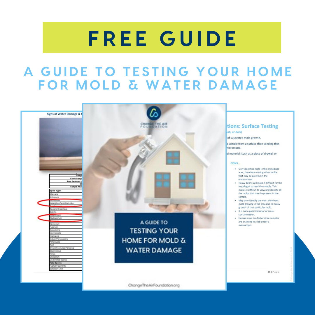 A Guide to Testing Your Home for Mold and Water Damage