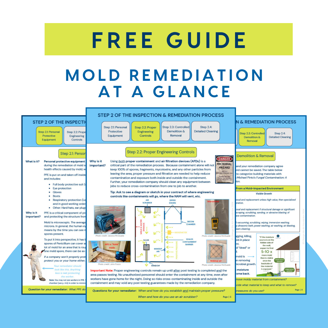 Mold Remediation at a Glance