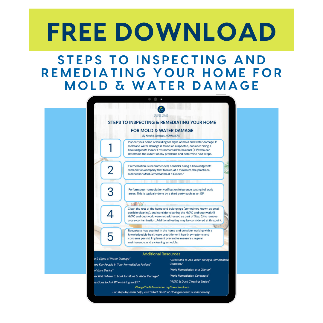 Steps to Inspecting & Remediating Your Home for Mold & Water Damage