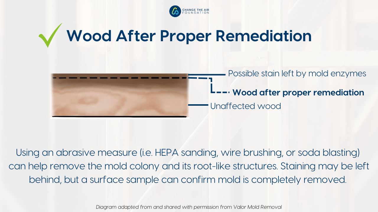 Mold Growth in Wood 3