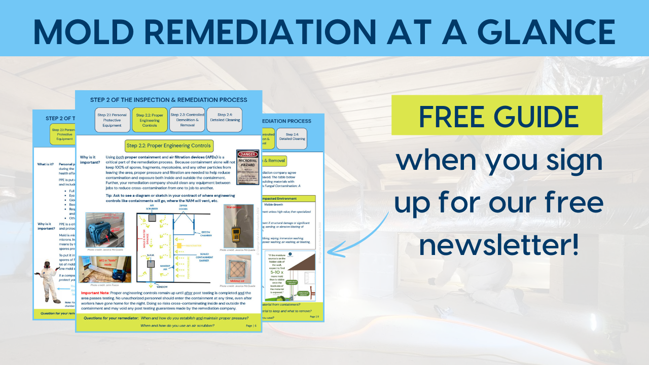 Mold Remediation at a Glance