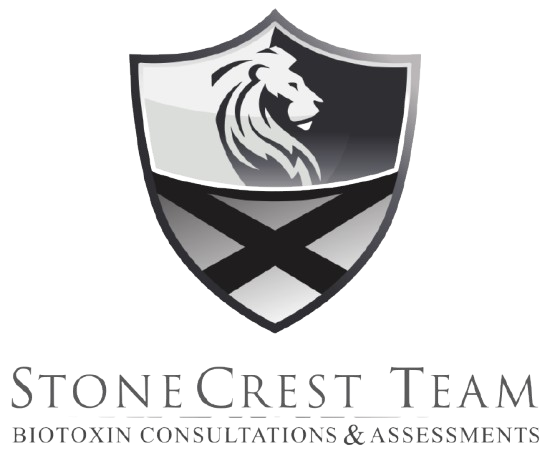 StoneCrest_Team